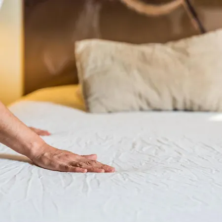 Mihotel Bellecour Lyon