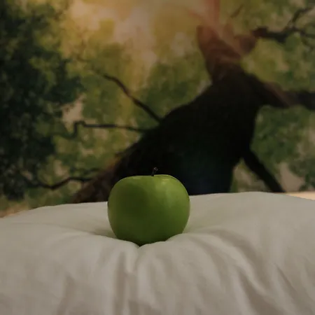 Mihotel Bellecour Lyon